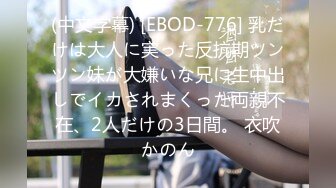 (中文字幕) [EBOD-776] 乳だけは大人に実った反抗期ツンツン妹が大嫌いな兄に生中出しでイカされまくった両親不在、2人だけの3日間。 衣吹かのん