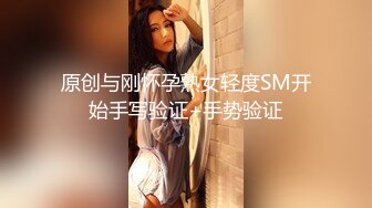 原创与刚怀孕熟女轻度SM开始手写验证+手势验证