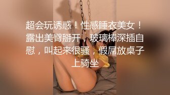 高端泄密流出视图 海角社区那个极品颜值少妇女邻居和隔壁王秃子宾馆开房玩SM性爱.