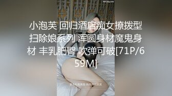 小泡芙 回归酒店痴女撩拨型扫除娘系列 浑圆身材魔鬼身材 丰乳肥臀 吹弹可破[71P/659M]