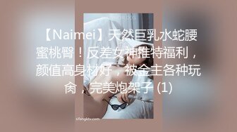 【Naimei】天然巨乳水蛇腰蜜桃臀！反差女神推特福利，颜值高身材好，被金主各种玩肏，完美炮架子 (1)