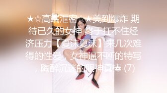 Al&mdash;刘诗诗 家政少妇