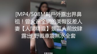 【最新??极品??厕拍】十一月最新私房偷拍大神『晓月原创』新作:朋友聚会KTV厕拍04-小琼 香菜妹妹 超清3K原版