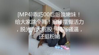 白嫩大胸女友，就喜欢让我艹。一下她都不动