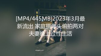 [MP4/445MB]2023年3月最新流出 家庭摄像头偷拍两对夫妻晚上过性生活