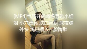 [MP4]气质开朗商场导购小姐姐 小穴漂亮 肤白胸粉 深夜赚外快 鸡巴插入一脸陶醉