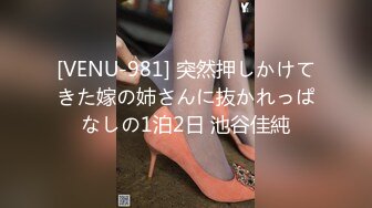 [VENU-981] 突然押しかけてきた嫁の姉さんに抜かれっぱなしの1泊2日 池谷佳純