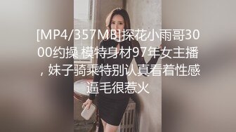 [2DF2] 孕妇街访实录 特派员街上搭讪美孕妇一起探索性欲望爆操[MP4/132MB][BT种子]