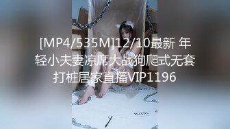 [MP4/535M]12/10最新 年轻小夫妻凉席大战狗爬式无套打桩居家直播VIP1196