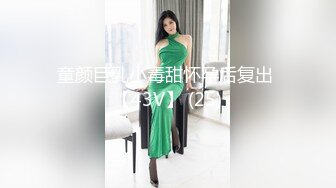 童颜巨乳小毒甜怀孕后复出 【43V】 (25)