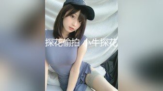 探花偷拍 小牛探花