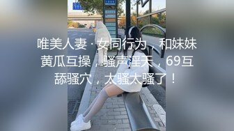 女友二姐是个骚货