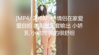 闷骚小少妇