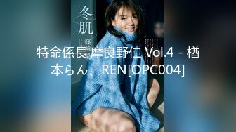 特命係長 摩良野仁 Vol.4 - 楢本らん、REN[OPC004]