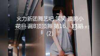 收集 亚裔TS伪娘 cdminie せな 约炮直男啪啪 互相口交 高价付费福利合集【54v】 (21)