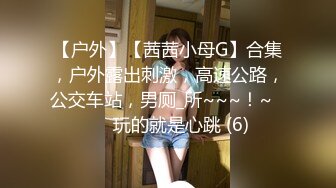 【户外】【茜茜小母G】合集，户外露出刺激，高速公路，公交车站，男厕_所~~~！~✨✨✨玩的就是心跳 (6)