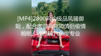 [MP4]2800网约极品风骚御姐，配合度很高宛如情侣偷情啪啪，沙发掰穴角度专业