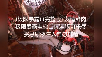 (极限暴露) (完整版) 发情鲜肉极限暴露电梯口玩灌肠可乐曼妥思尿液注入自慰排精