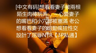 美腿白皙少妇 (3)