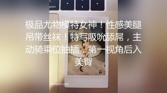 极品尤物模特女神！性感美腿吊带丝袜！特写吸吮舔屌，主动骑乘位抽插，第一视角后入美臀