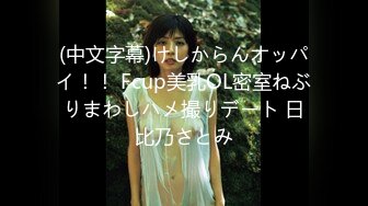 (中文字幕)けしからんオッパイ！！ Fcup美乳OL密室ねぶりまわしハメ撮りデート 日比乃さとみ