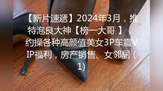 【新片速遞】2024年3月，推特泡良大神【榜一大哥 】，约操各种高颜值美女3P车震VIP福利，房产销售、女邻居 (1)