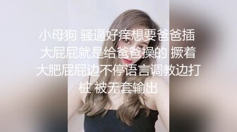 【极品稀缺白金泄密】美女在车上淫乱被行车记录仪拍下遭泄露 舌吻摸鸟