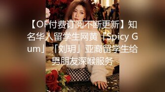 OnlyFan 一日女友的漂亮姐姐 番外篇二 热恋海岸线