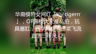 华裔模特女网红「lily tigerrr」，OF露脸大尺度私拍，玩具塞肛，一字马自慰白浆飞流直下三千尺 (2)