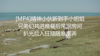 [MP4]精神小伙新到手小姐姐 兄弟们共进晚餐后带回房间 扒光后入狂插随意摆弄