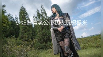 少妇背着老公带我去玩榻榻米4