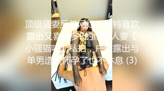 顶级骚妻反差网红！推特喜欢露出又喜欢多P的绿帽人妻【小骚猫咪】私拍，户外露出与单男造爱怀孕了也不休息 (3)