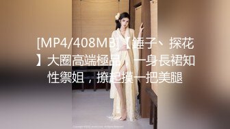 [MP4/408MB]【錘子丶探花】大圈高端極品，一身長裙知性禦姐，撩起摸一把美腿